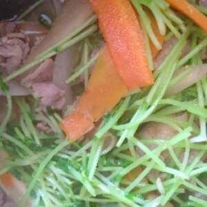 豆苗たっぷりの肉野菜炒め